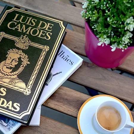 Color Your Day Penha De Franca Daire *